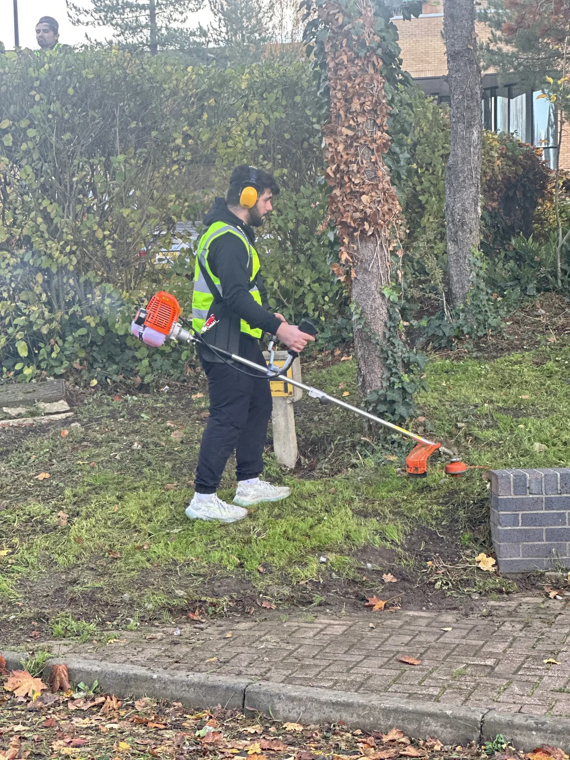 Hedge trimming detail