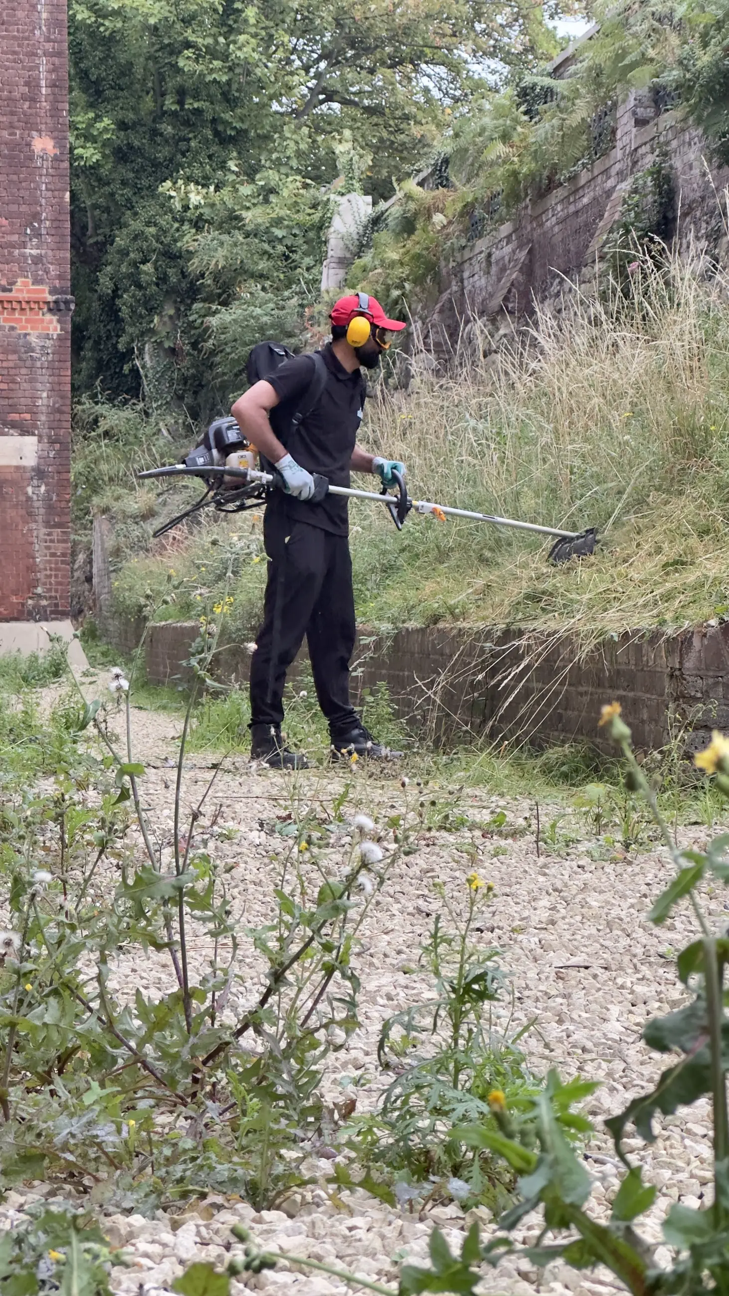 Vegetation clearance