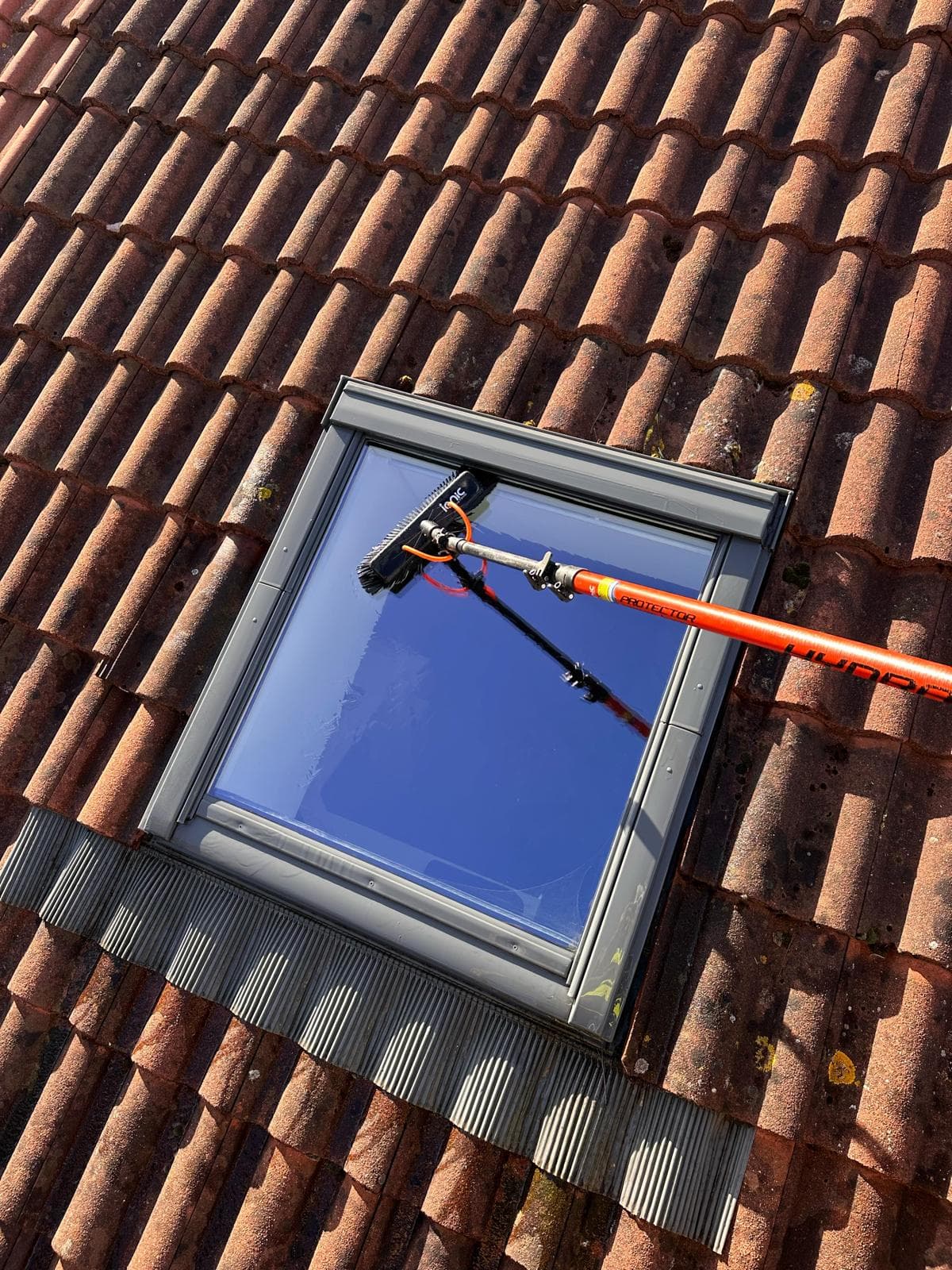 Commercial cleaning team